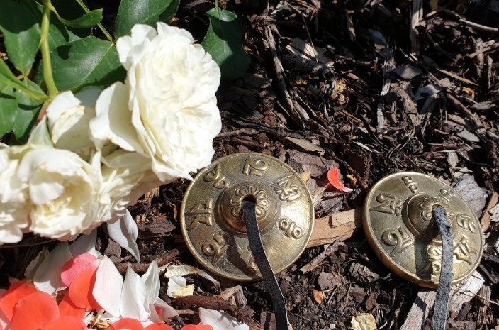 Autora programma – Čakru harmonizācija.